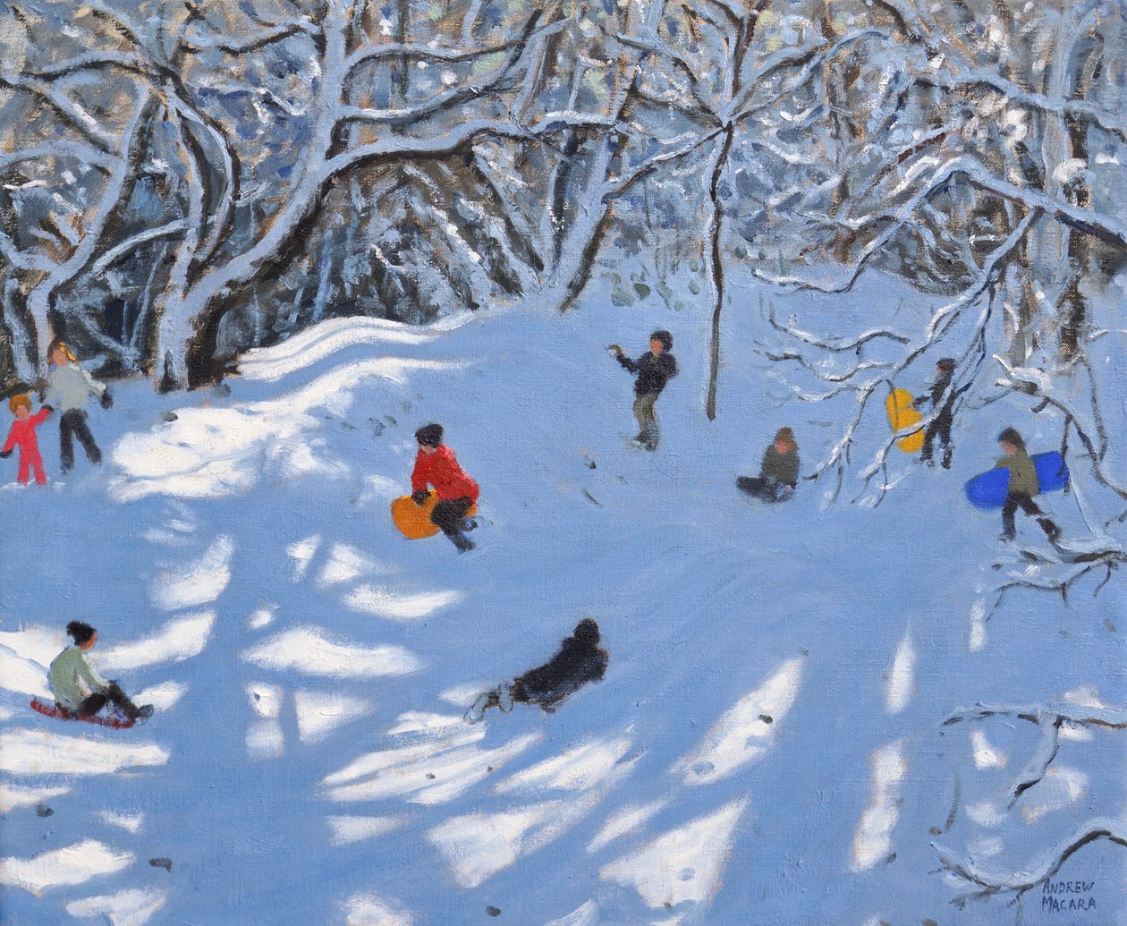 Noel, Allestree Woods, Derbi, 2017, by Andrew Macara