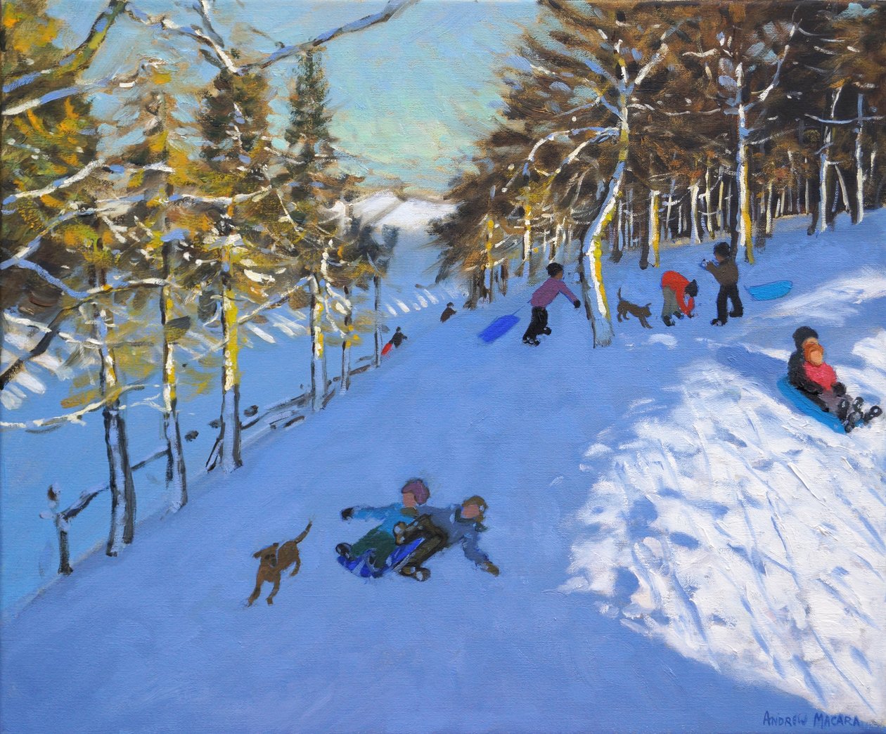 Aile kızağı,Youlgreave,Derbyshire. 2016, by Andrew Macara