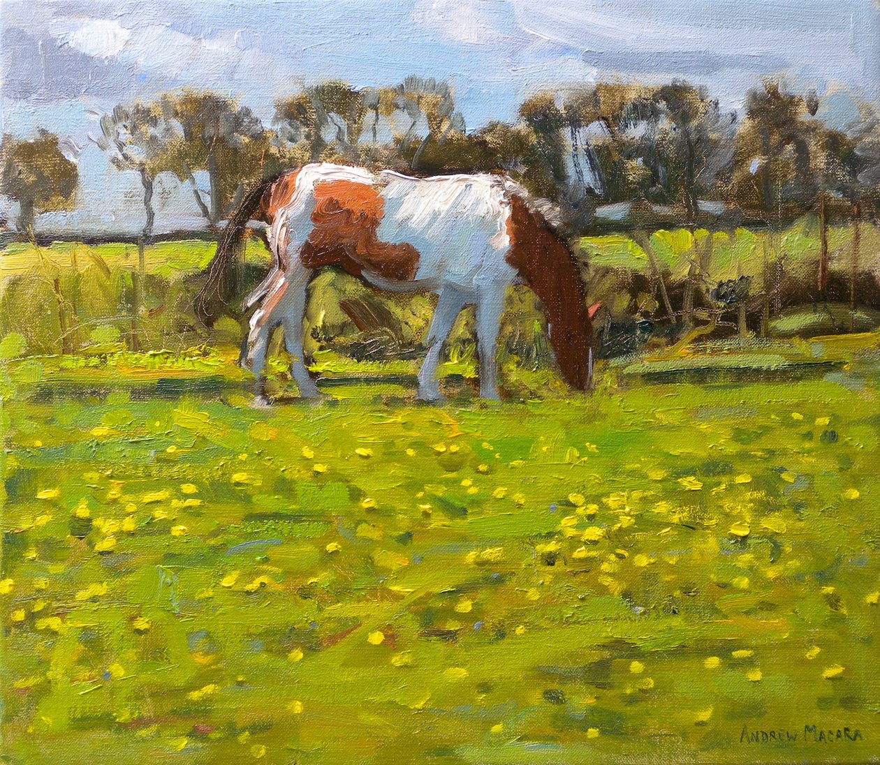 Benekli At, 2010 (tuval üzerine yağlı boya) by Andrew Macara