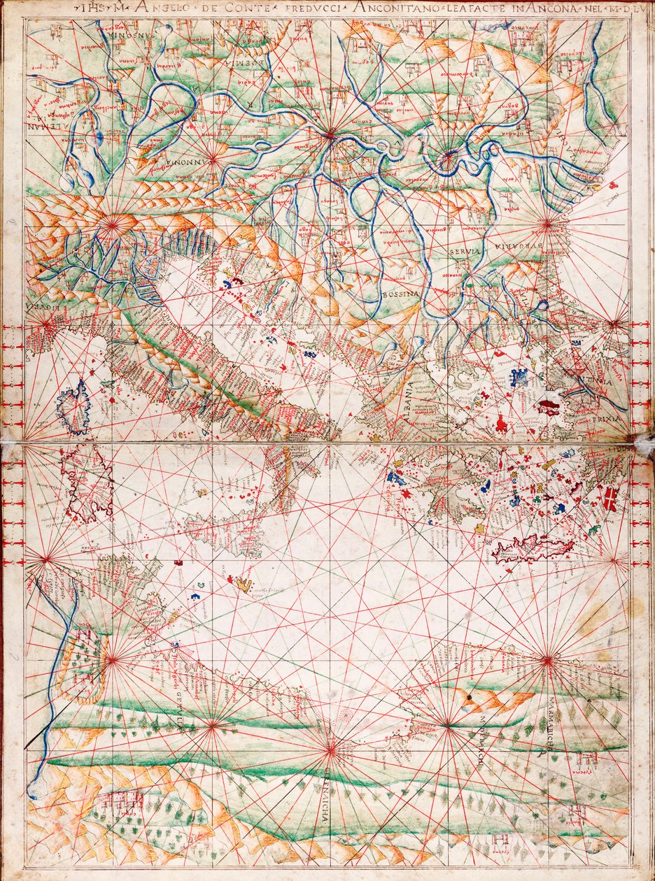  by Angelo de Conte Freducci