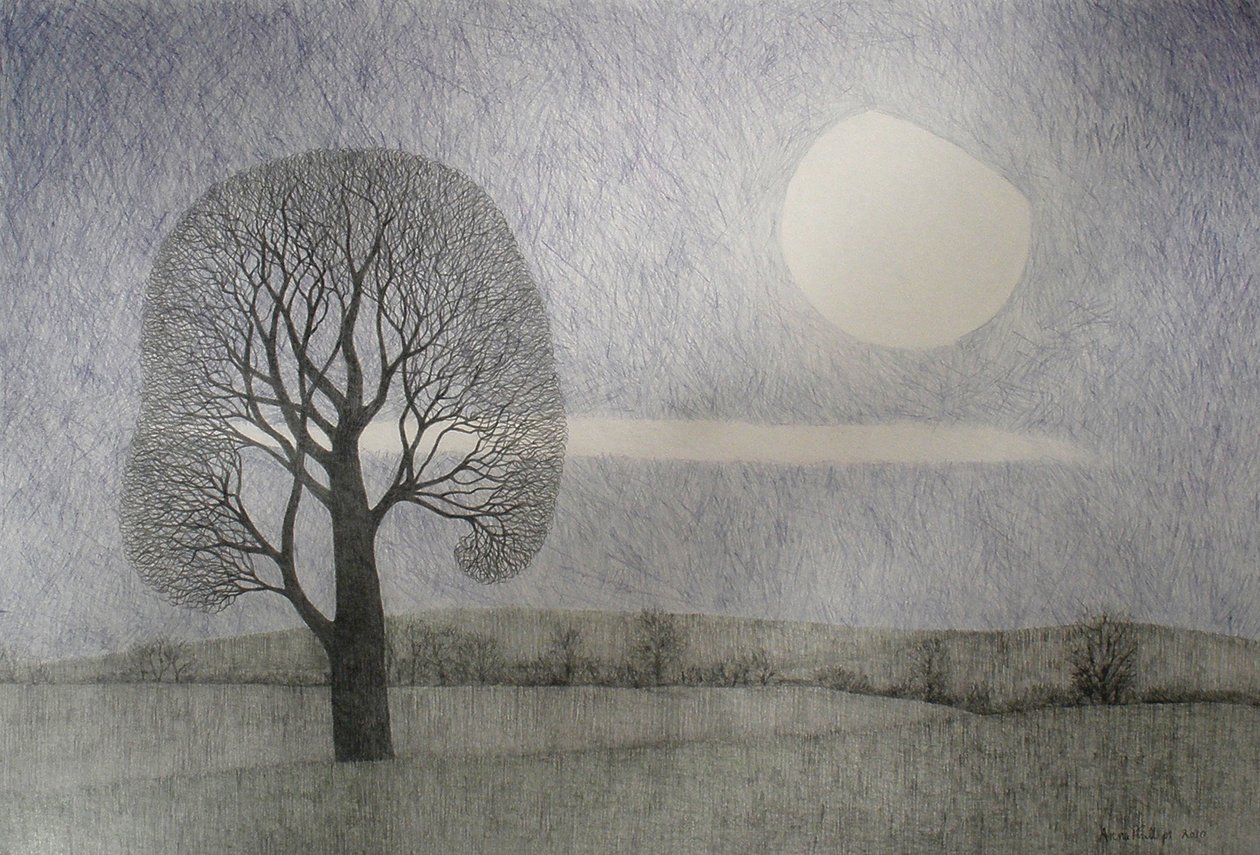 Şubat Ayı, 2010 (kağıt üzerine renkli kalem) by Anna Phillips