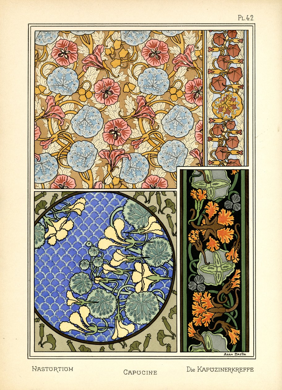 Nasturtium by Anna Martin
