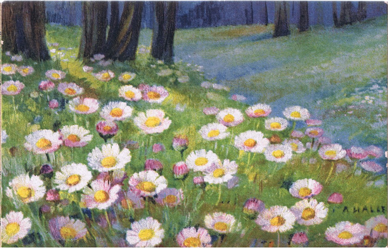 Papatyalar, Kartpostal, 1940
