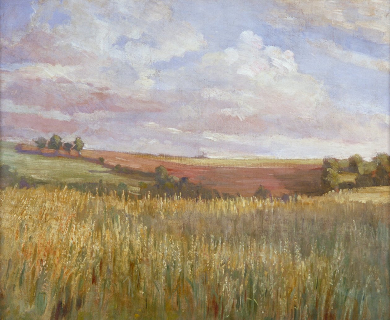 'Mısır Tarlası', c1864-1930. by Anna Lea Merritt