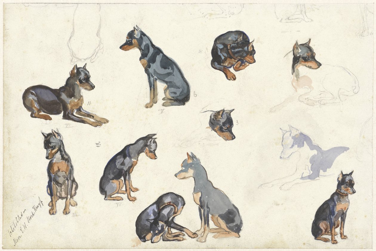 Bir köpeğin çalışmaları by Anna Maria Kruijff