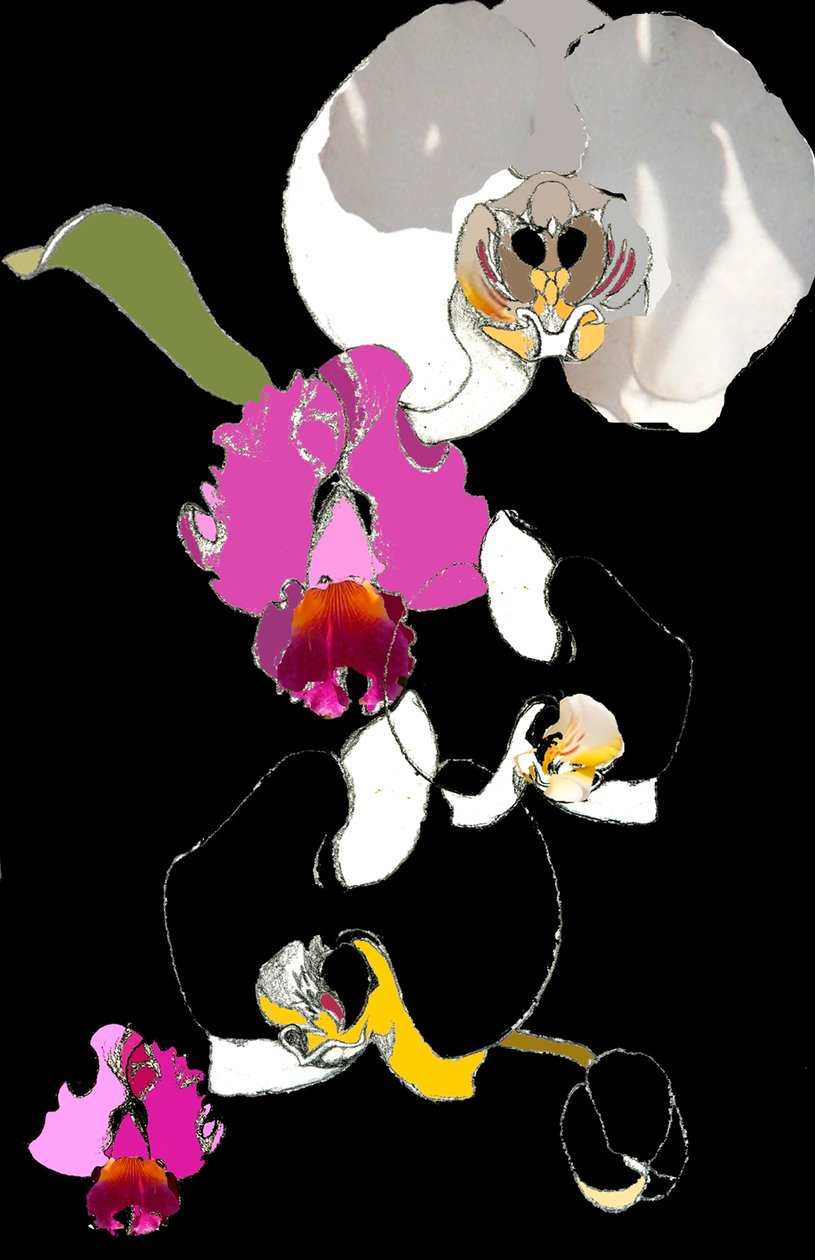 Orkide by Anna Platts