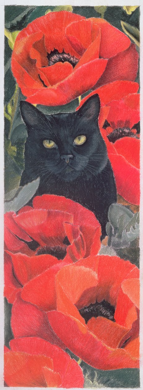 haşhaşlı kara kedi by Anne Robinson