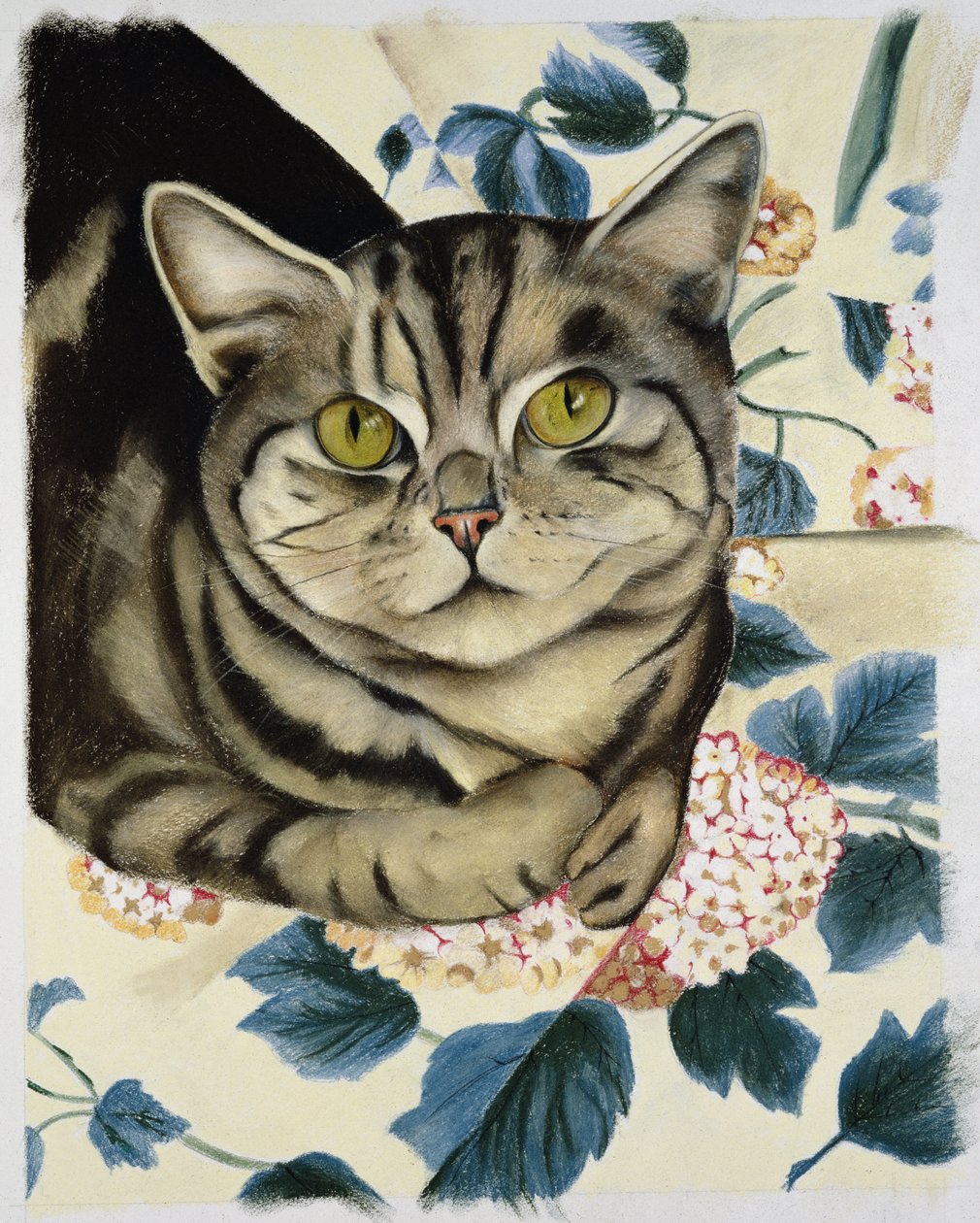 Tekir kedi by Anne Robinson