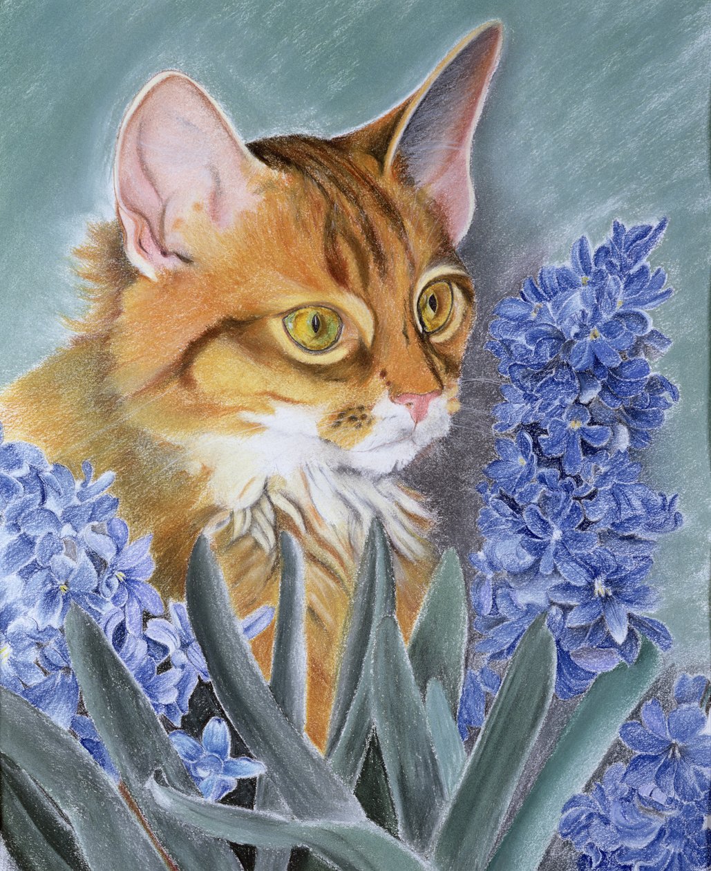 Toskana by Anne Robinson