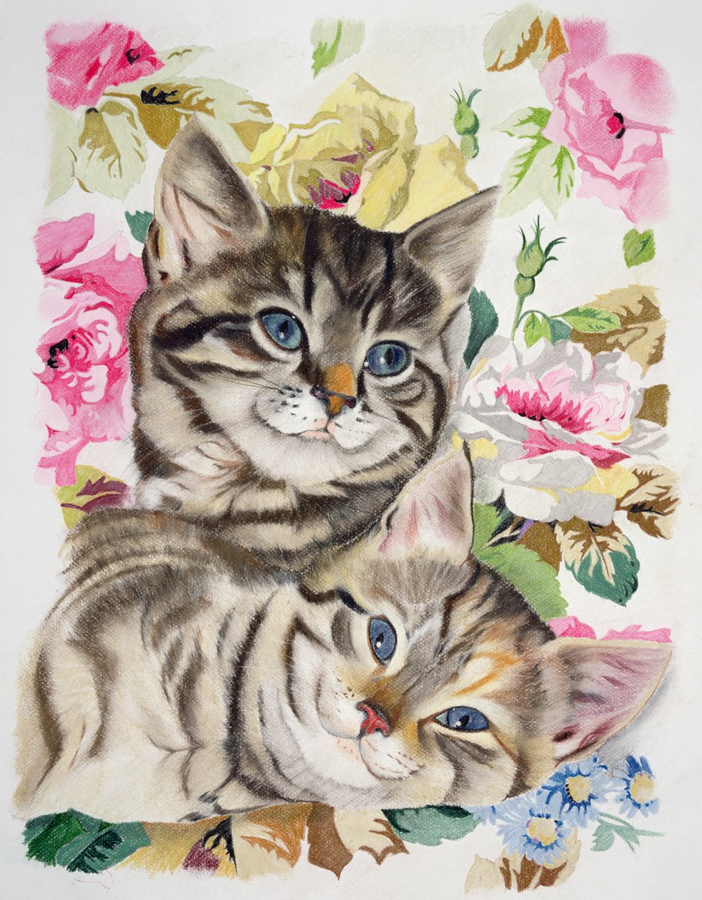iki yavru kedi by Anne Robinson