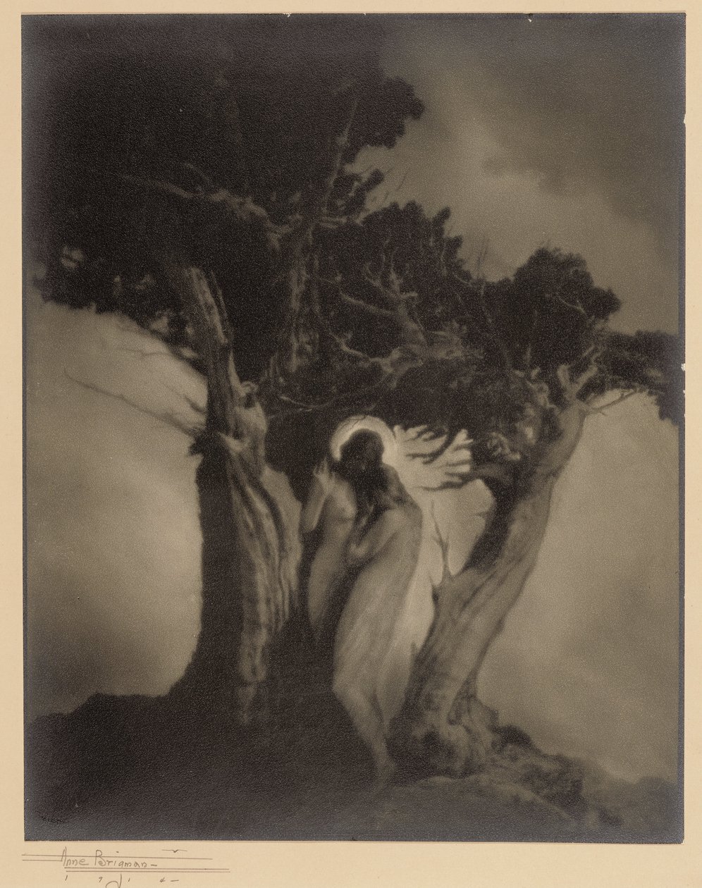 Fırtınanın Kalbi by Anne W. Brigman