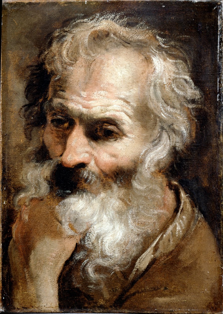 Yaşlı Bir Adamın Başı by Annibale Carracci