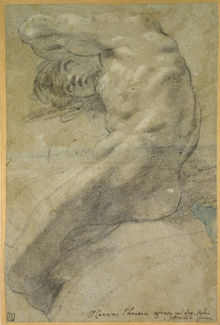 Çıplak Bir Adamın Çalışması by Annibale Carracci