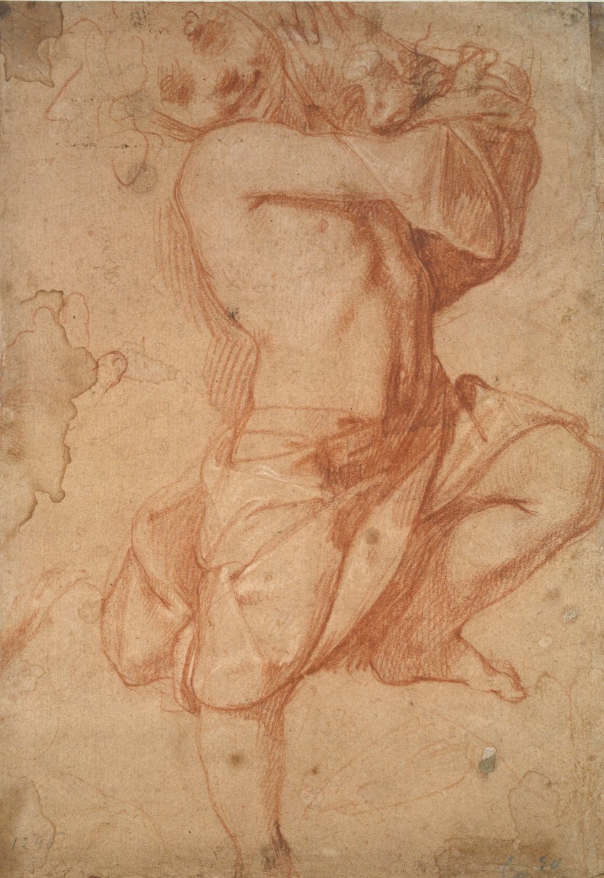 Yarı çıplak Boy, 16. yüzyılın sonlarında by Annibale Carracci