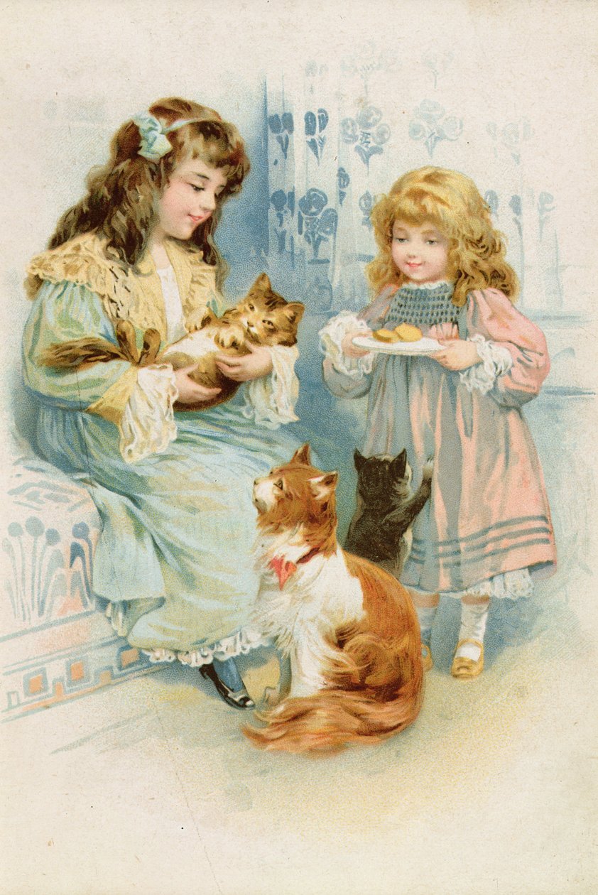 Kitten
