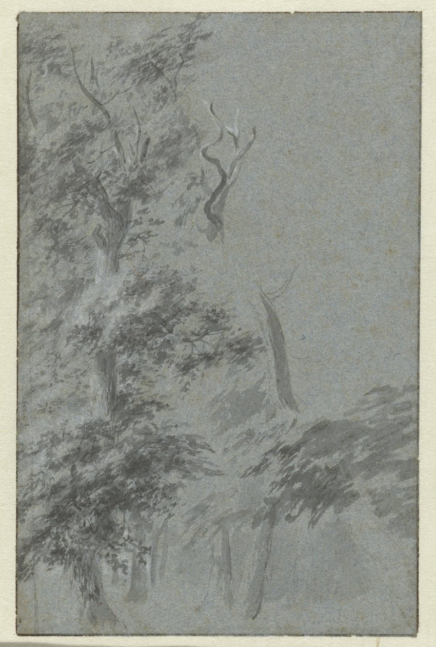 Orman manzarası by Anonymous