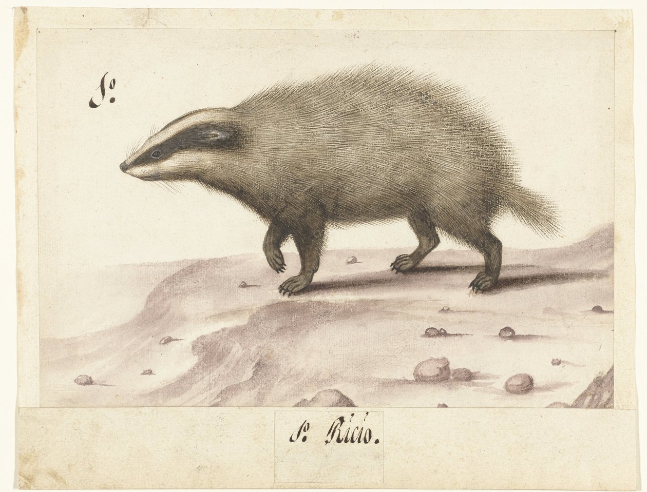 Das Lombard albümü (seri adı) by Anonymous