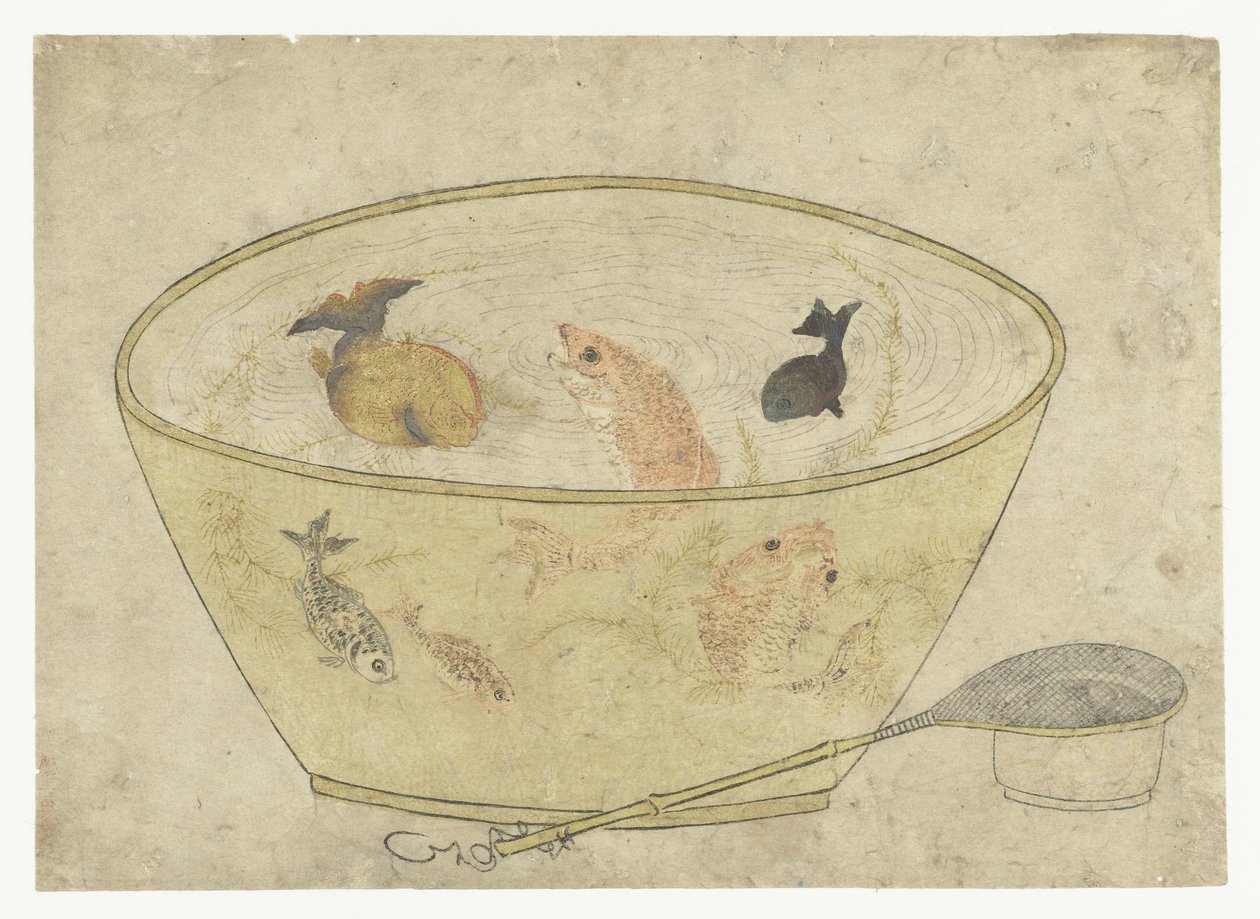 kasede japon balığı by Anonymous