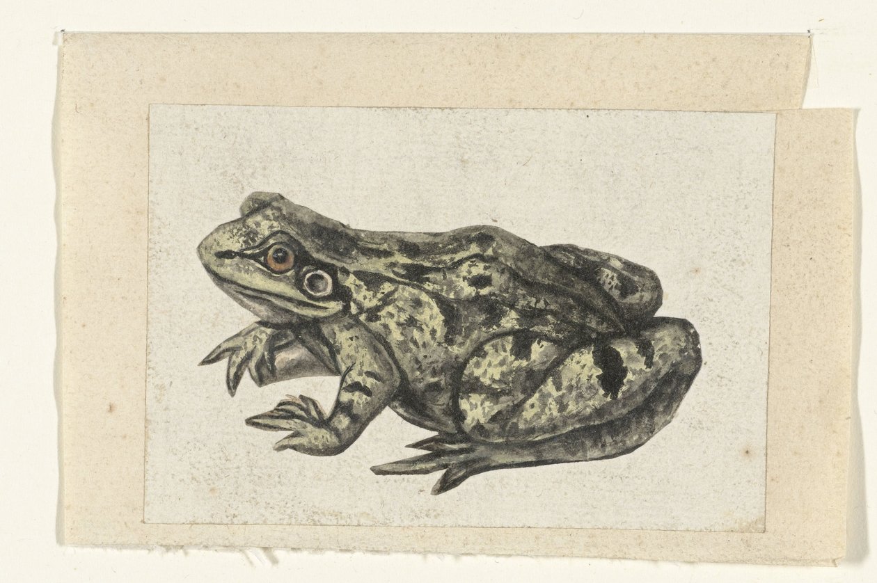 Kikker Lombard albümü (seri başlığı) by Anonymous