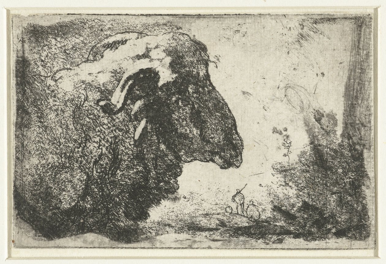 Bir koç başı by Anonymous