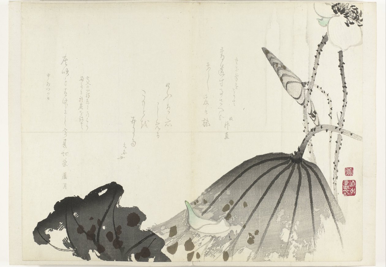 Lotus yaprağı Albümü Shijo-surimono 1840-1900 döneminden (seri başlığı) by Anonymous