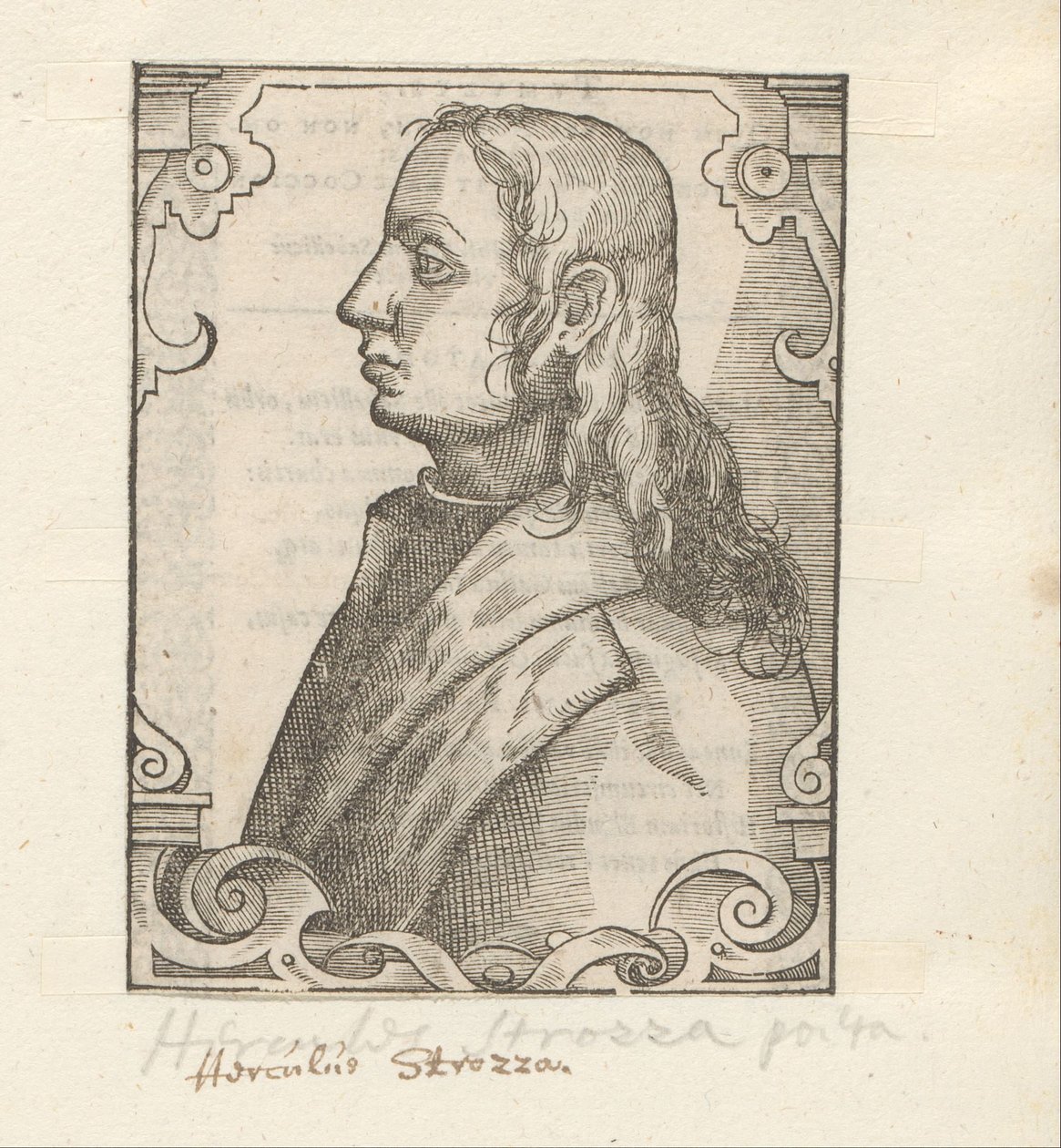 Portret van Ercole Strozzi by Anonymous