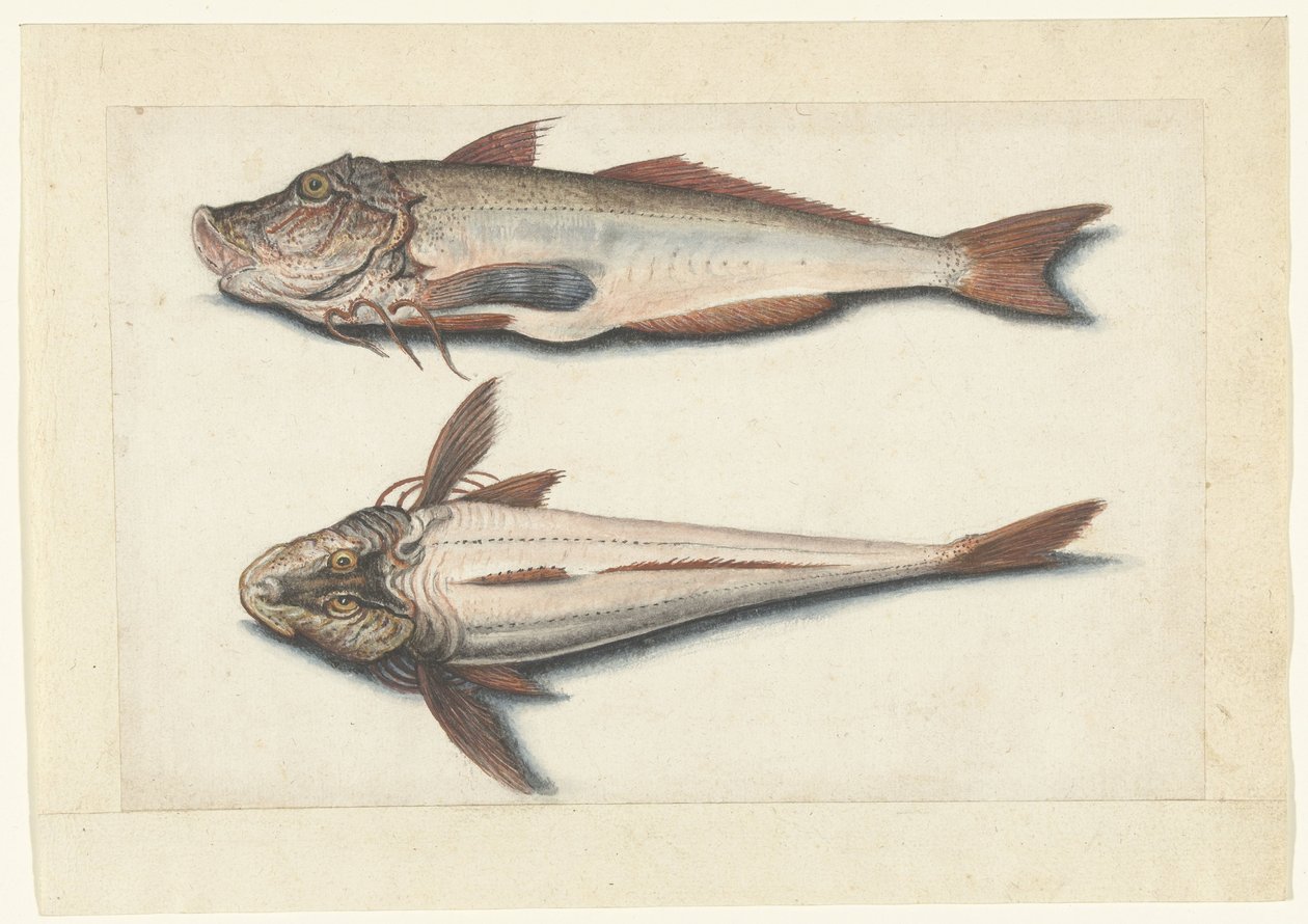 Rode poon Lombard albümü (seri başlığı) by Anonymous