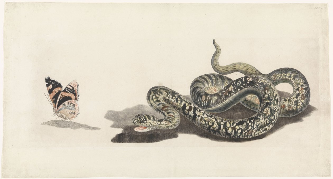 Bir kelebek ile yılan by Anonymous