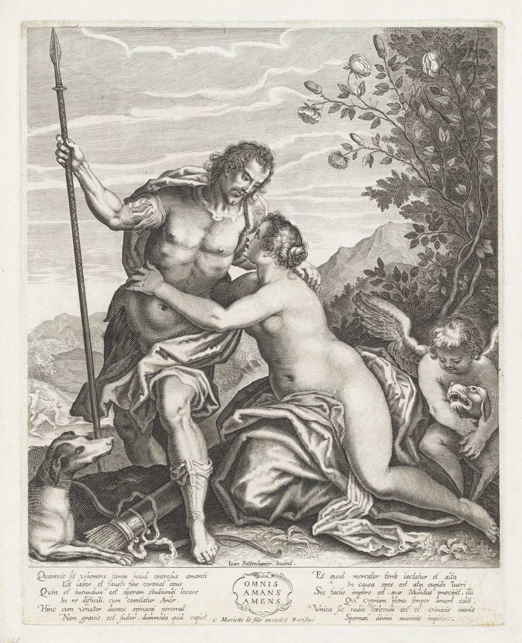 Venüs, Adonis