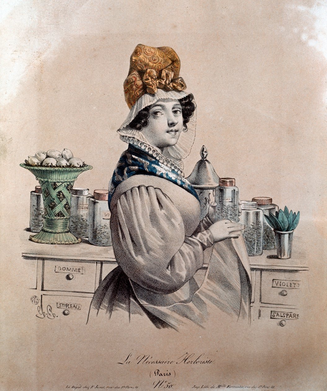 Herborist (gravür by Anonymous Anonymous