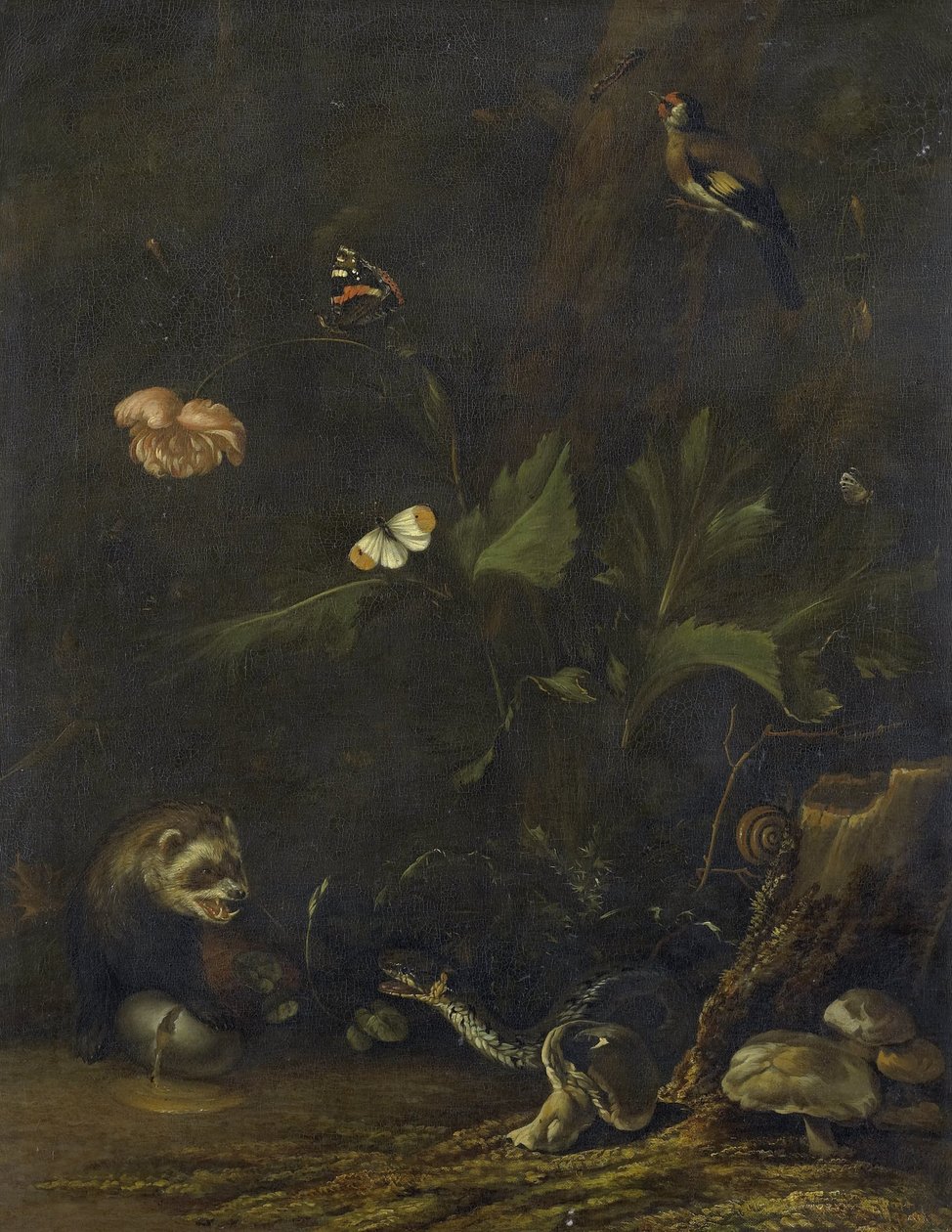 Hayvanlar ve bitkiler by Anthonie van Borssom