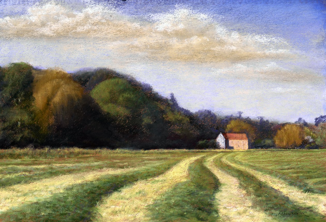 Silaj Zamanı, 2004 by Anthony Rule
