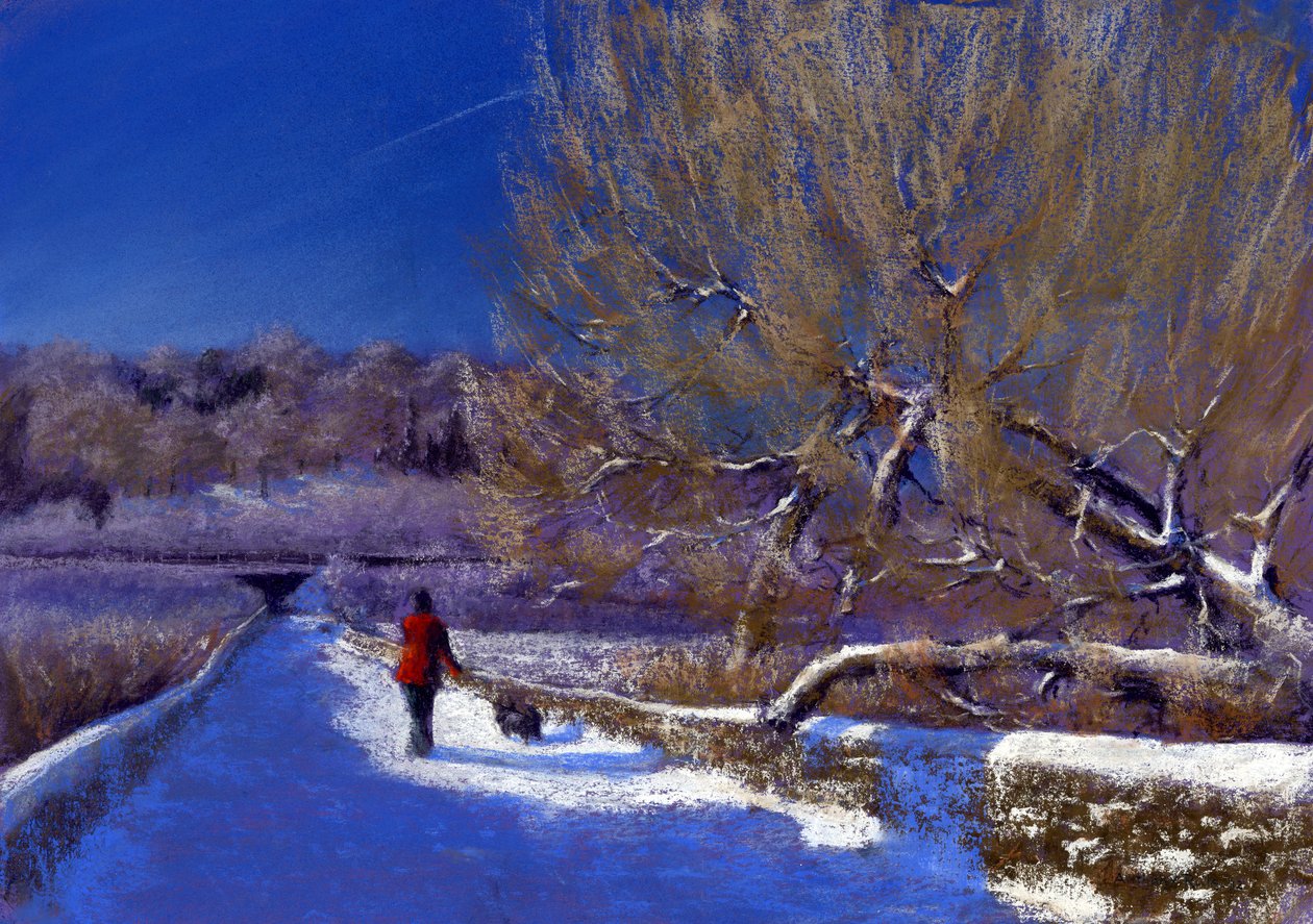 Kış Yürüyüşü, 2012 by Anthony Rule