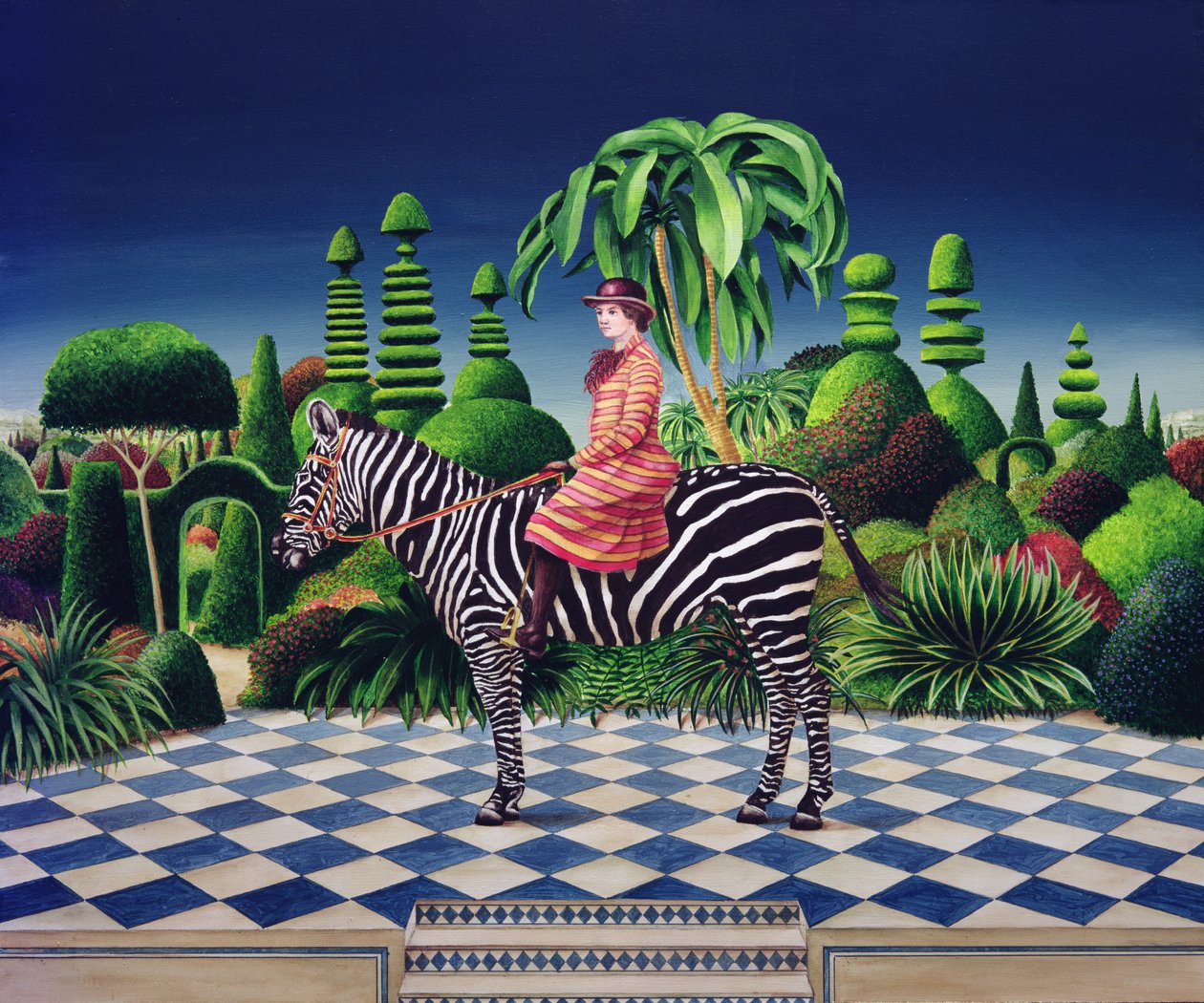Bayan bir zebra by Anthony Southcombe