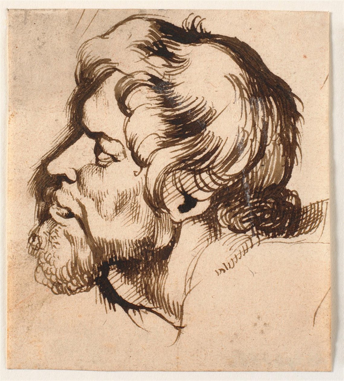 Bir adamın başı by Anthony van Dyck