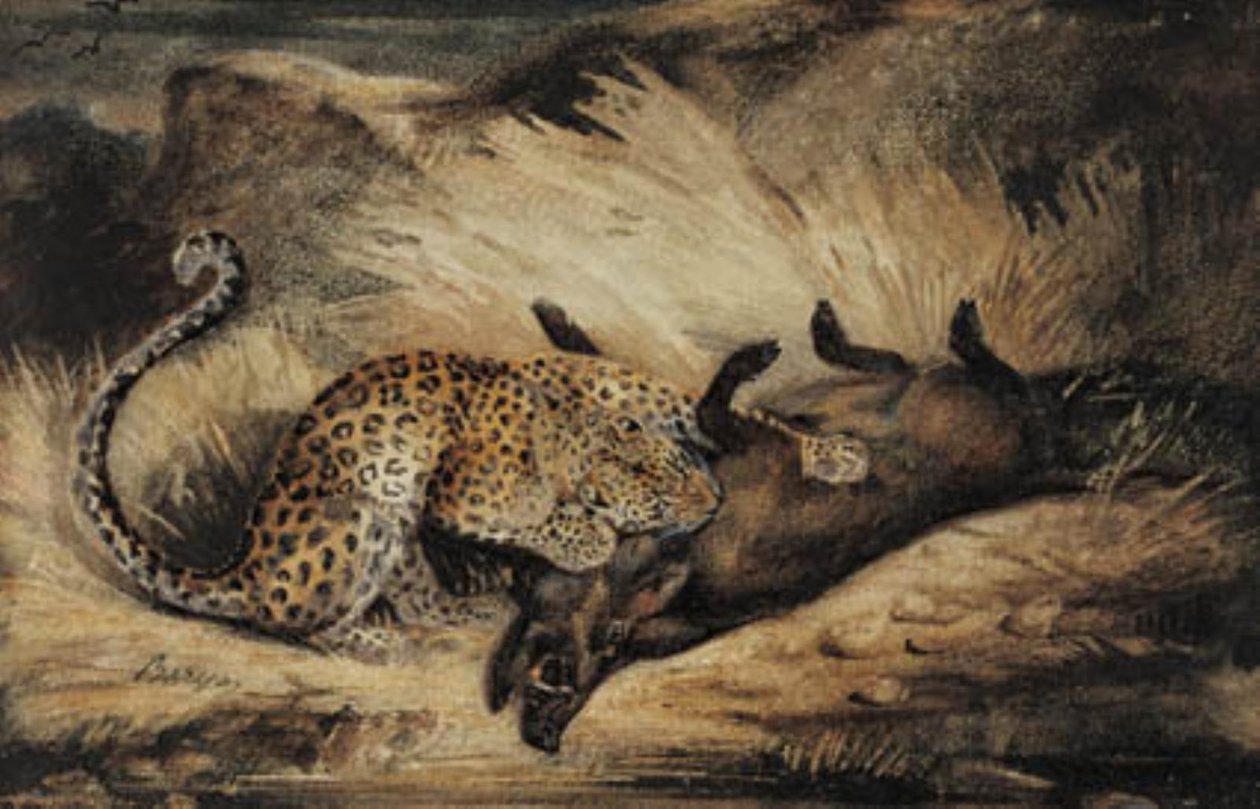 Leopar bir yaban domuzu yiyor. by Antoine Louis Barye