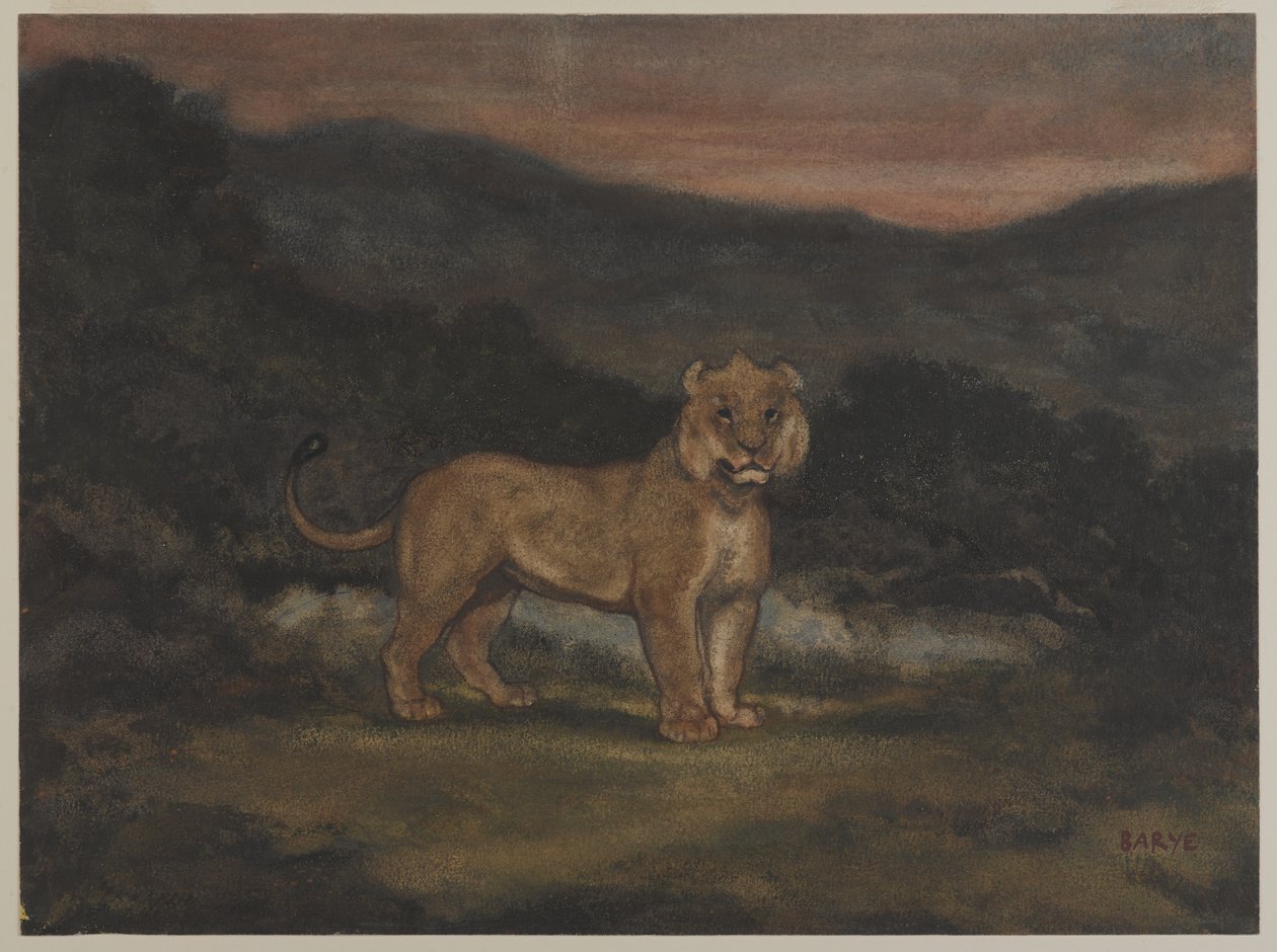 Ayakta duran dişi aslan (kağıt üzerinde wc) by Antoine Louis Barye