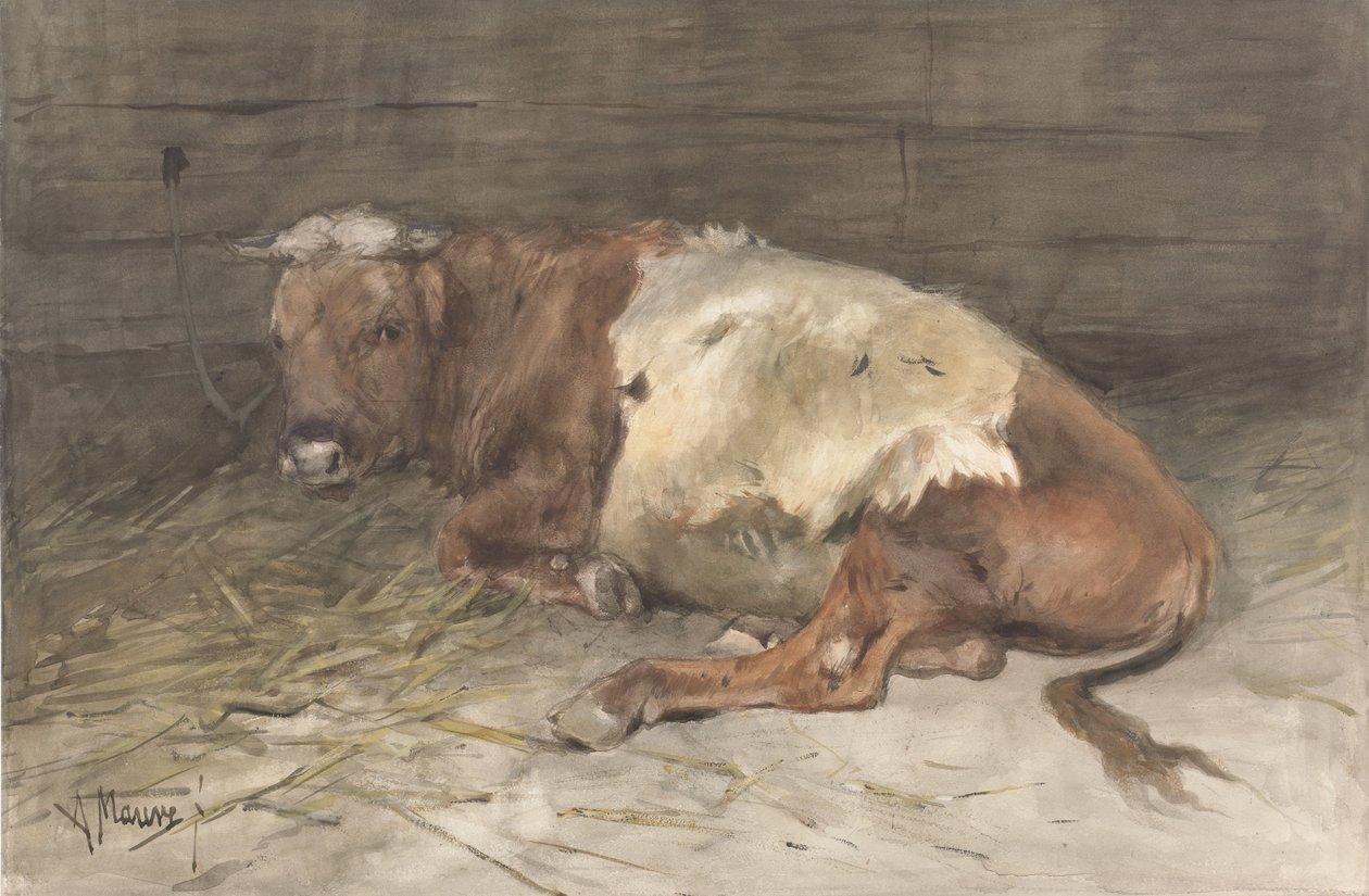 genç boğa yalan by Anton Mauve
