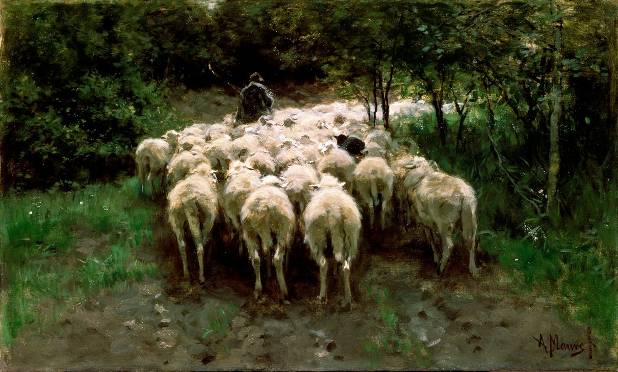 Ormandaki Koyunlar, 19. yüzyıl. by Anton Mauve