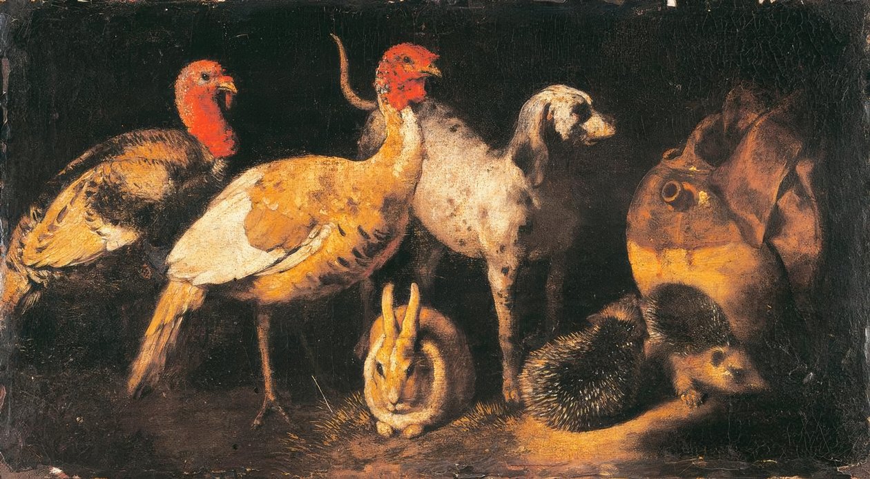 Hindi tavukları, köpekleri, tavşanları ve kirpileri by Antonio Maria Vassallo