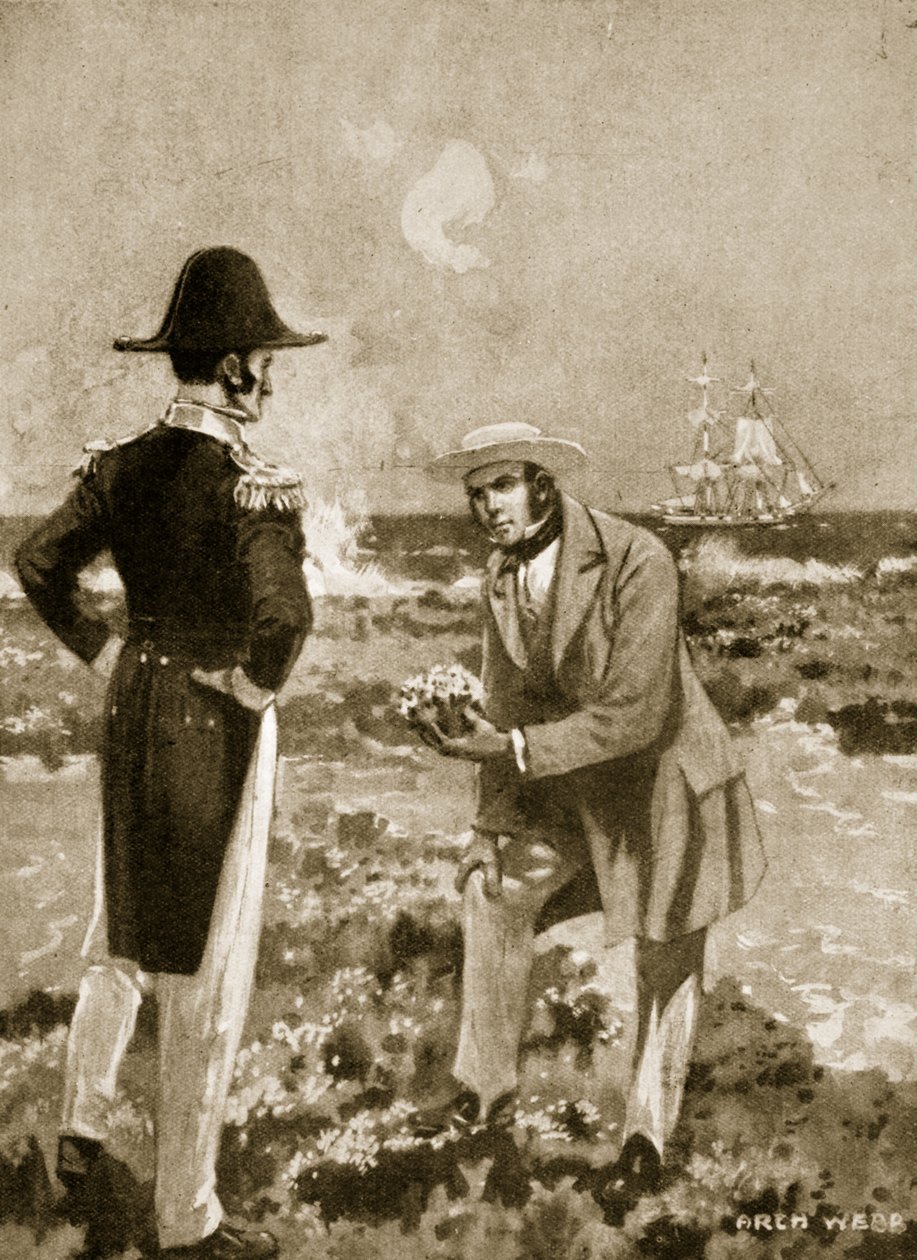 Darwin ilginç bir örnek bulur by Archibald Webb