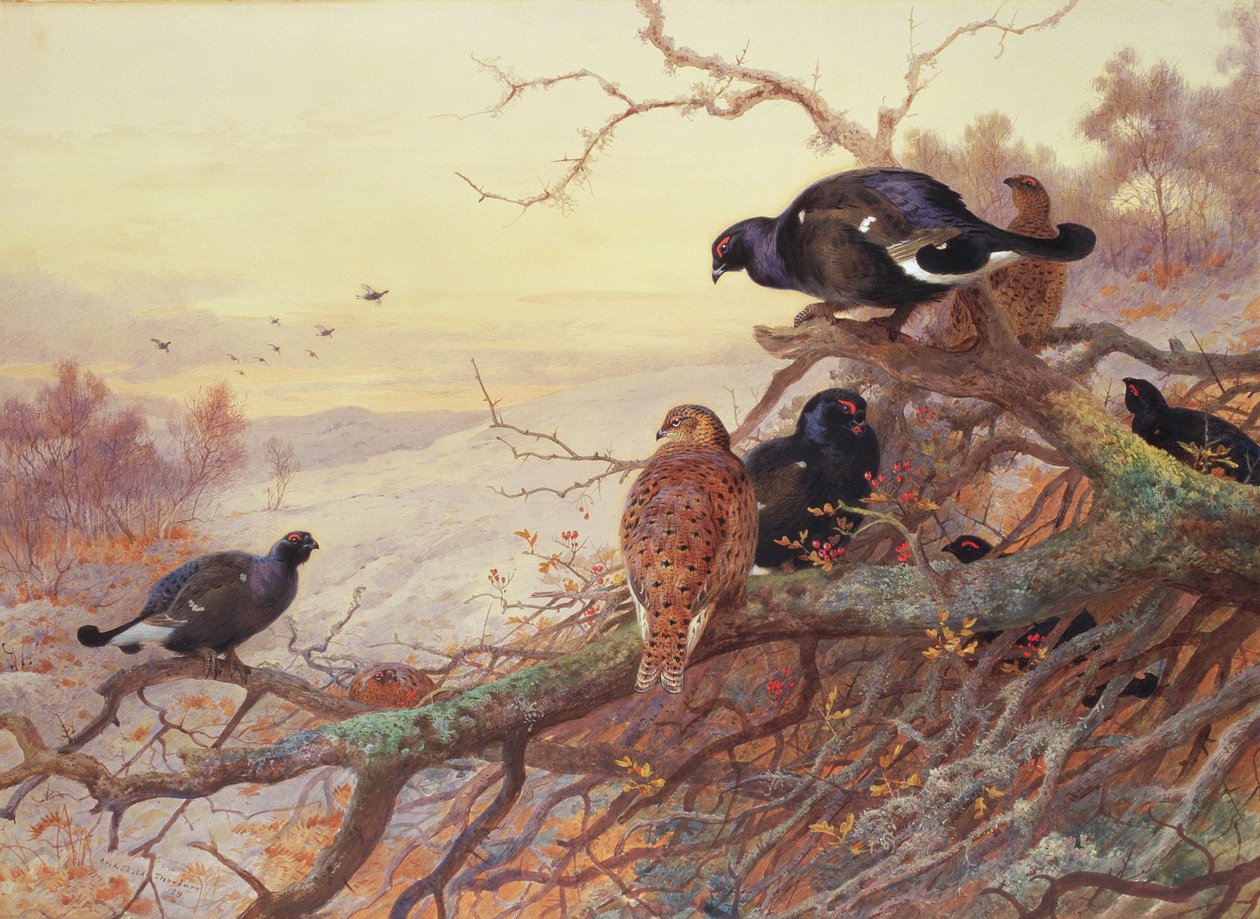 Kışın Kara Oyun by Archibald Thorburn