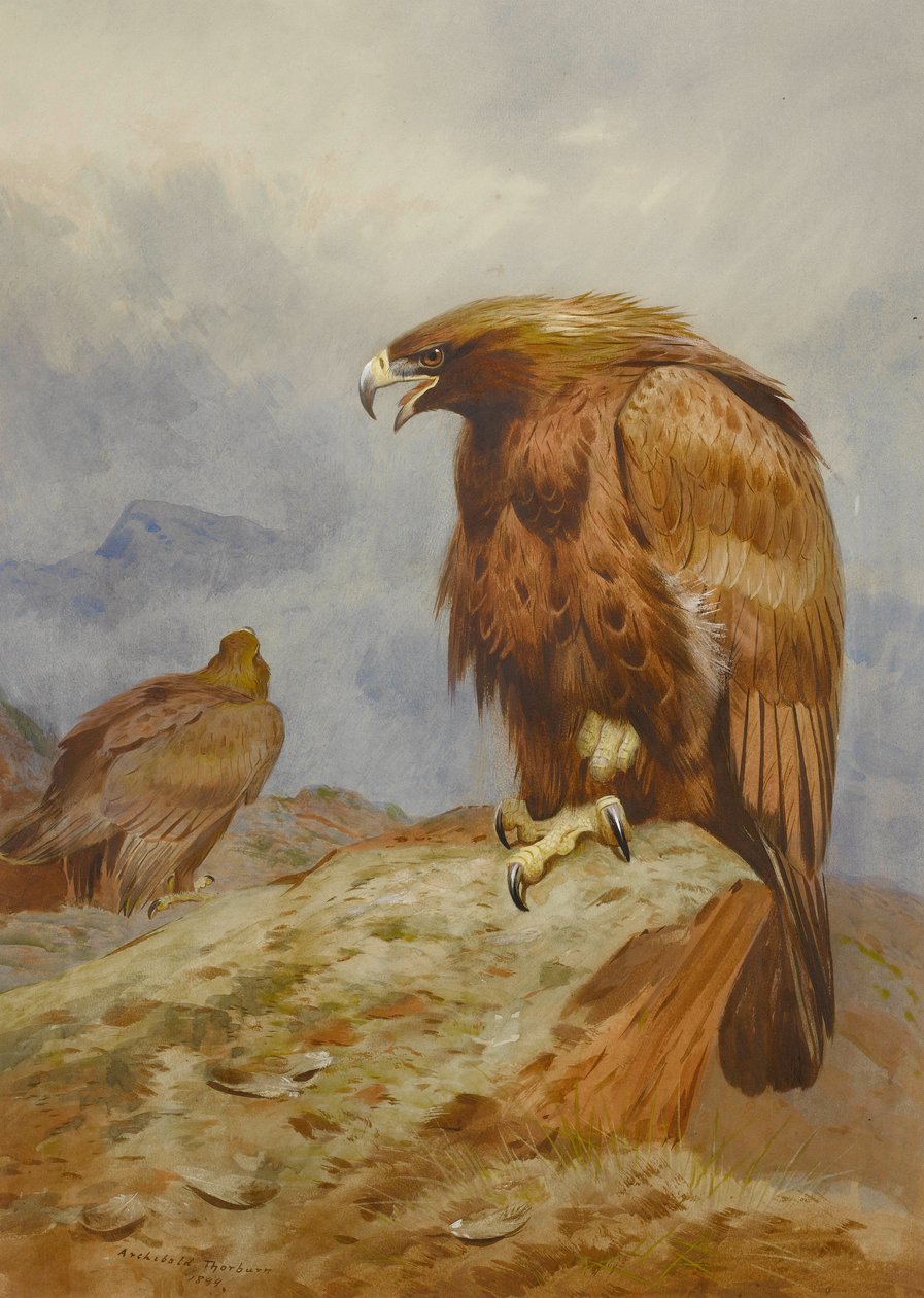  by Archibald Thorburn