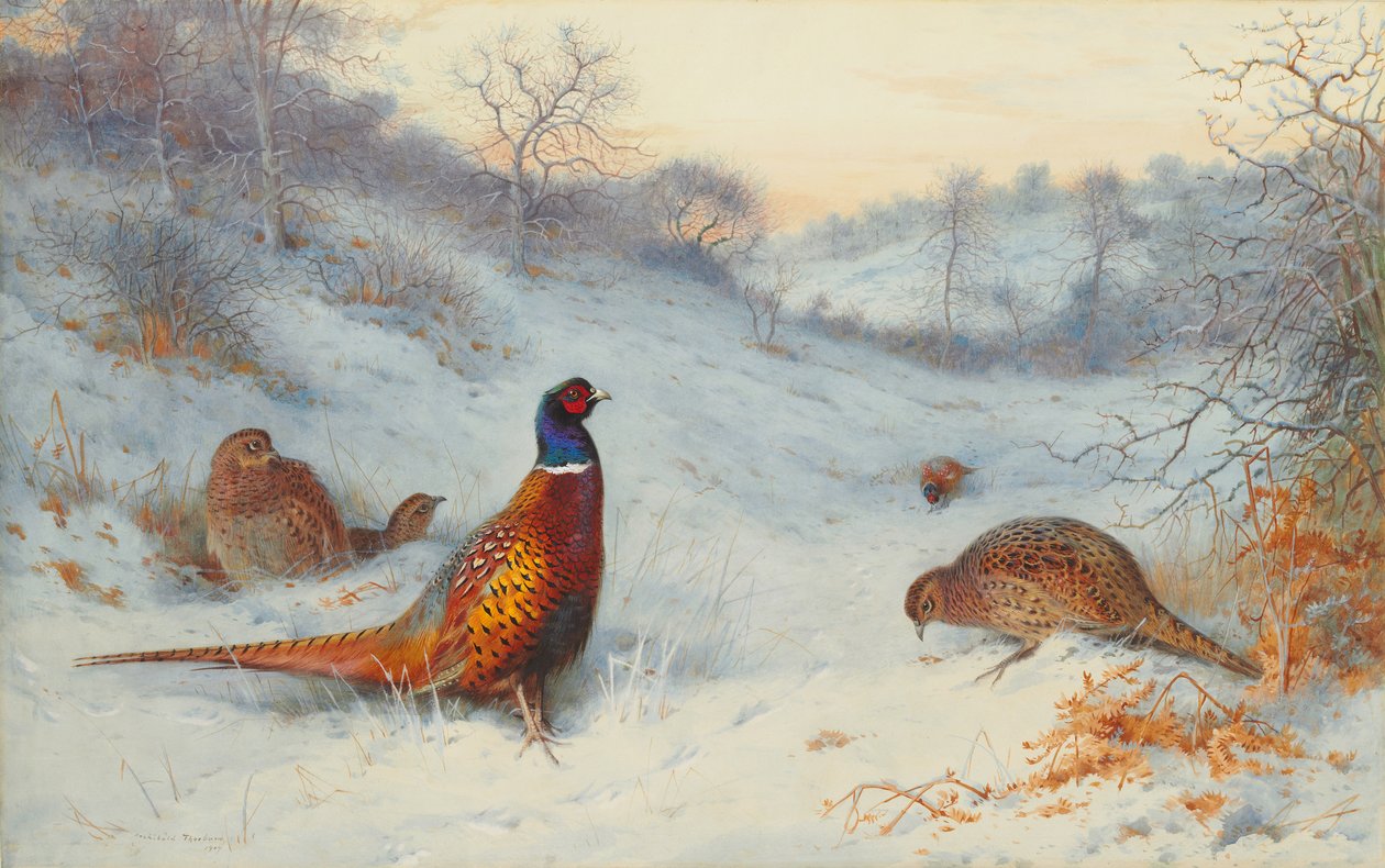 karda sülün by Archibald Thorburn