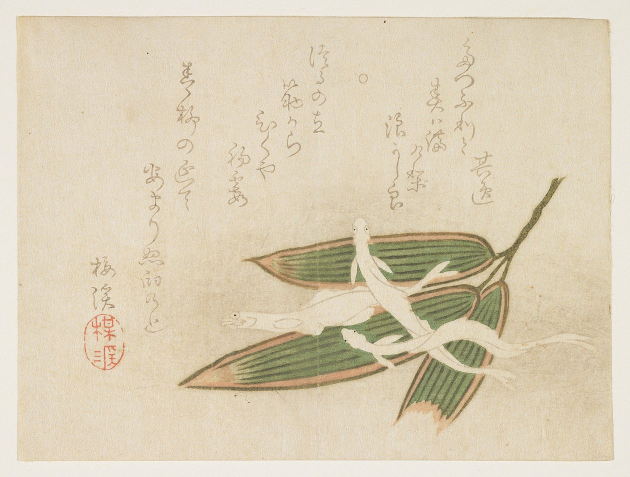 (Whitebait ve bambu yaprakları), c. 1860 by Ariwara Baikei
