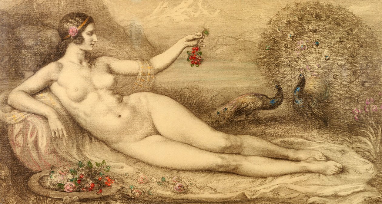 Juno by Armand Point