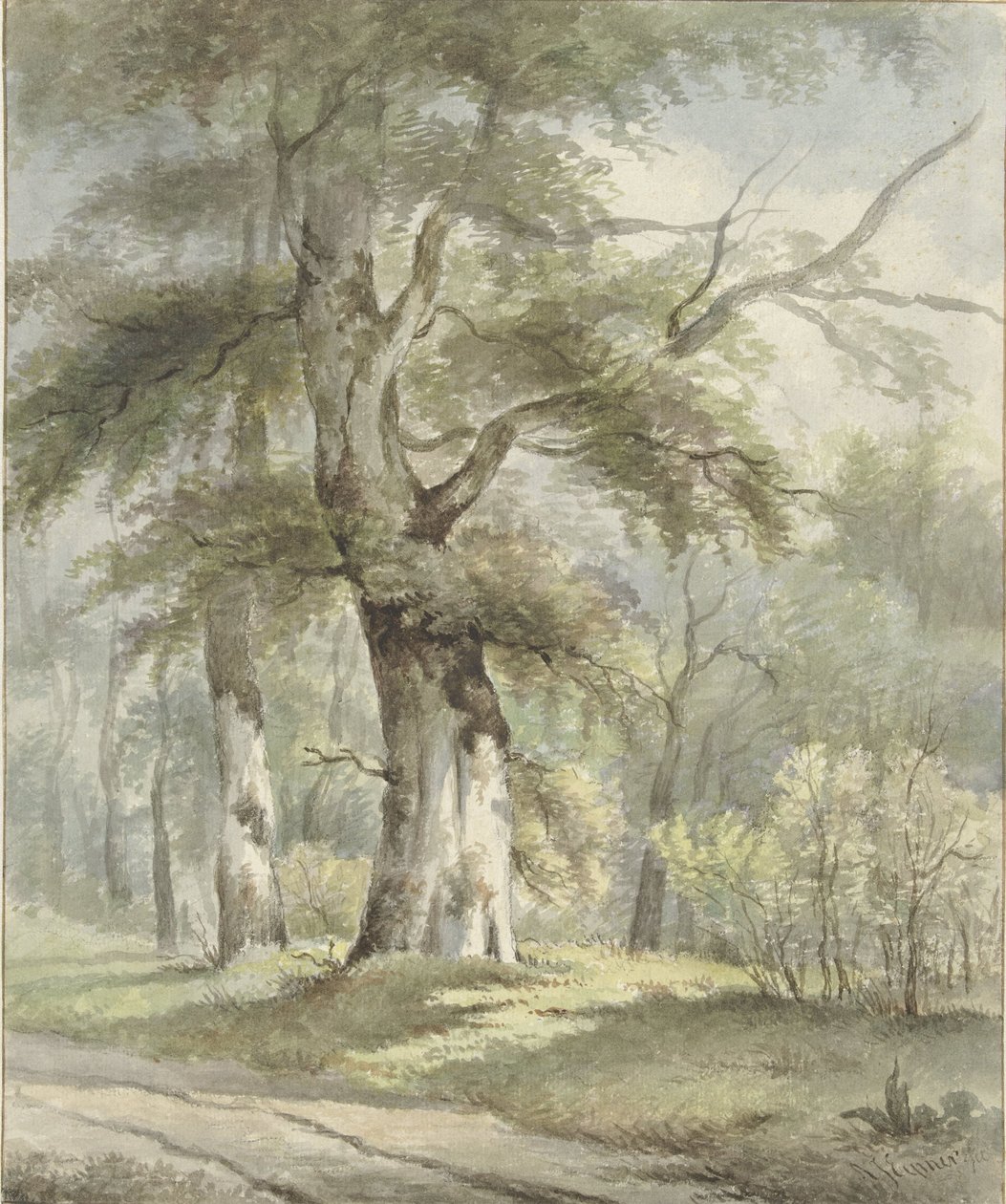 Orman manzarası by Arnoldus Johannes Eymer