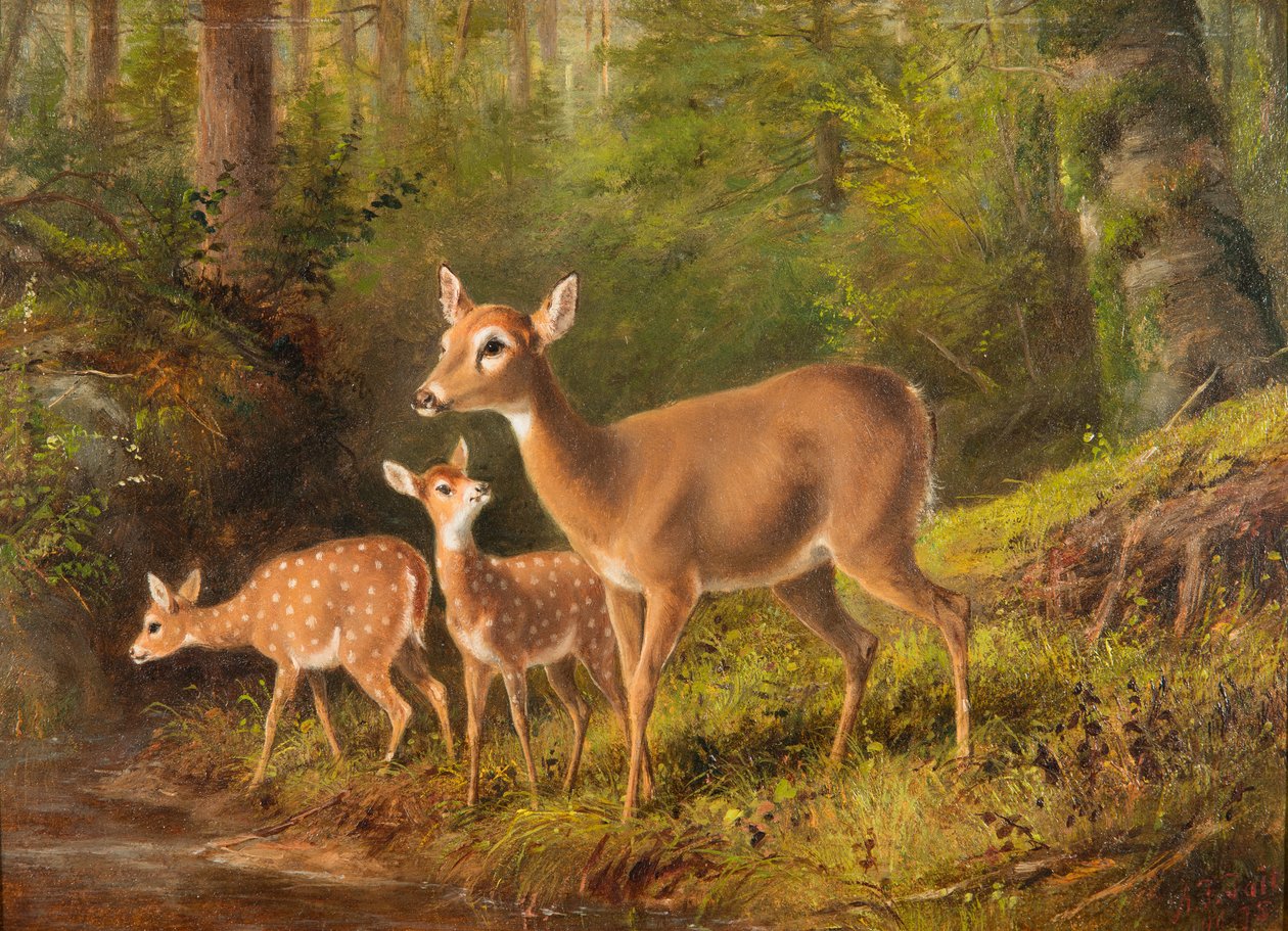 Bir Doe ve İki Geyik Yavrusu by Arthur Fitzwilliam Tait