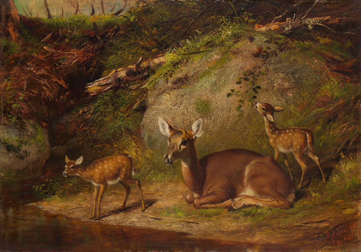 Doe ve İki Geyik, 1882. by Arthur Fitzwilliam Tait