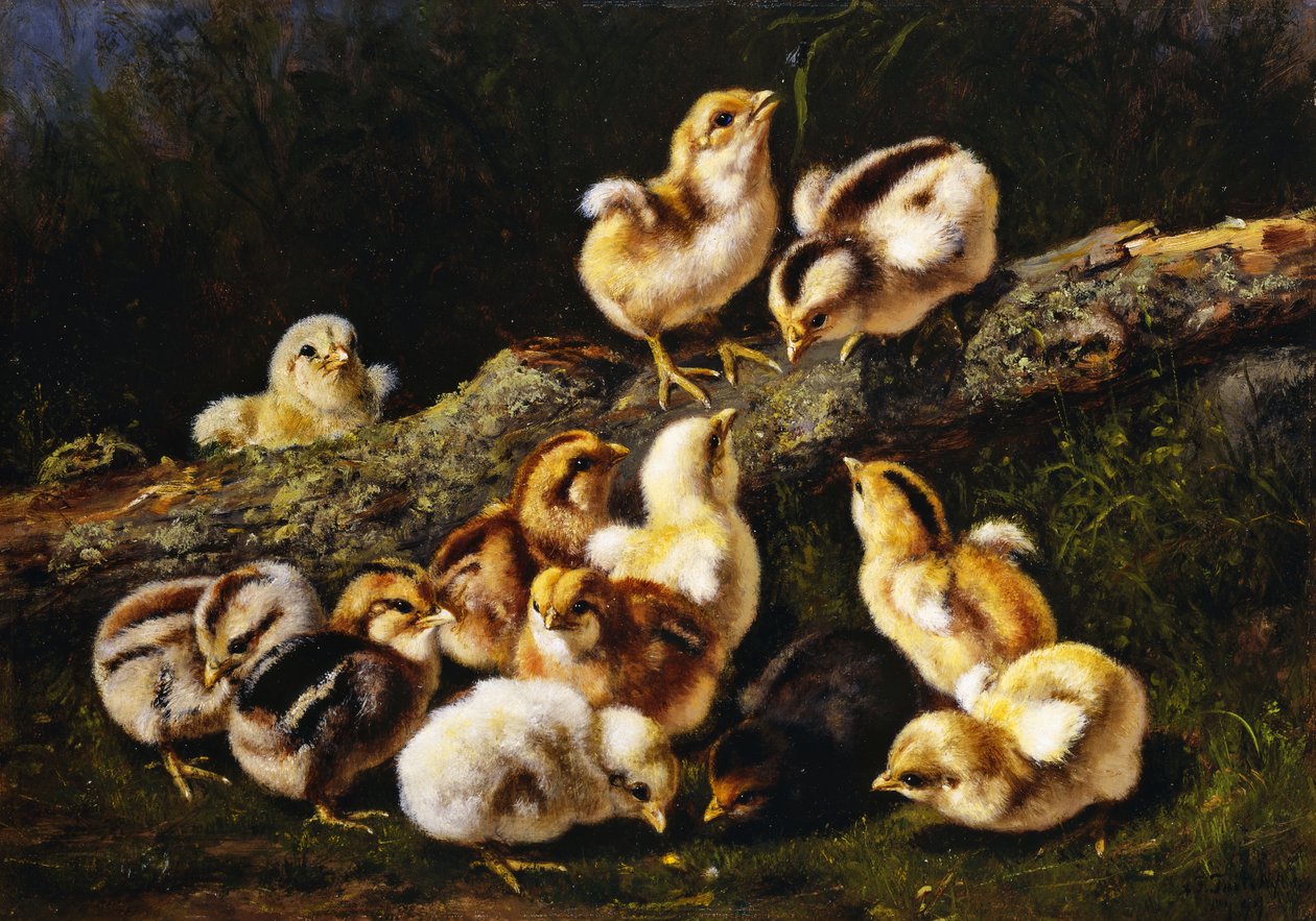 Küçük Hayvanlar, 1899 by Arthur Fitzwilliam Tait